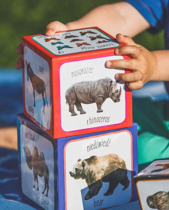 8d237bf3dfc454f055e4ed37caf3f862