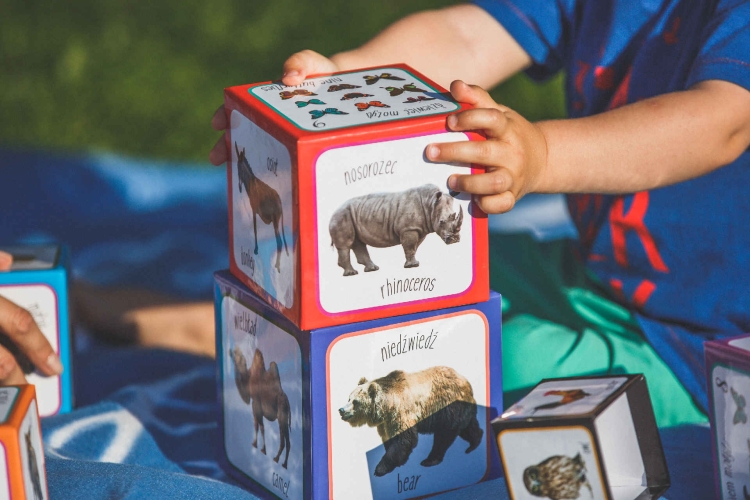 9a777f2aabcd97d0f25244d6fa6f9c1b