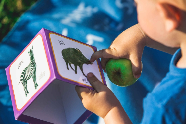 84bc18f7465d4b0933d59d79a87cd787