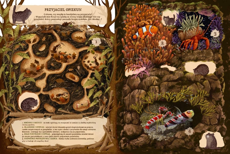 82ecd62fb8cd4135e53988ff7288d458