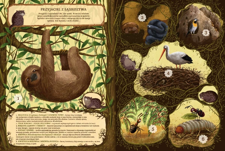 d97e3be8a228cd8b498b4b938d7d3ae0