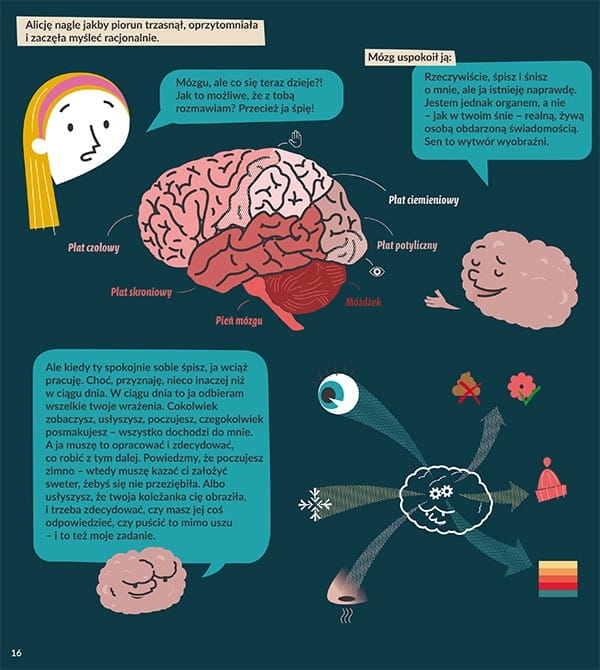 Sen Alicji, czyli jak działa mózg