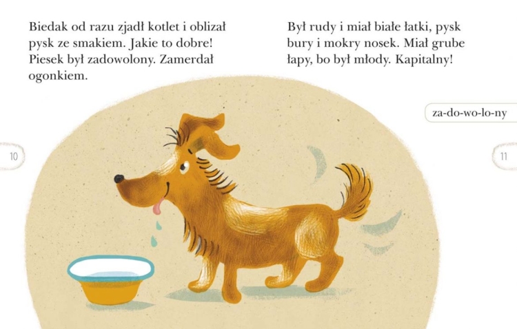 Nelka i piesek Fafik. Czytam sobie. Poziom 2