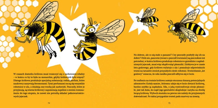 0acd4be7ae1e7aa8bf488600e13044aa