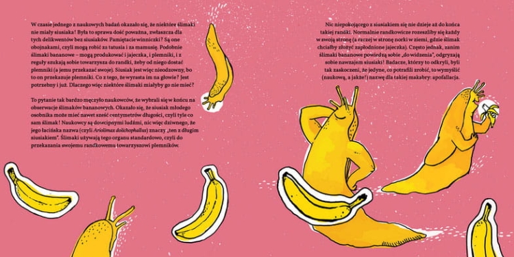 b351d21613874265ad8ad546e3e237c1