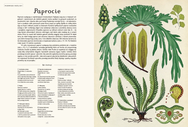 Botanicum. Muzeum Roślin