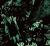 9525f4a2a09919262345a7e21410b44d