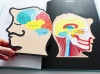 Anatomia. Obraz ludzkiego ciała na wyjątkowych ażurowych rycinach