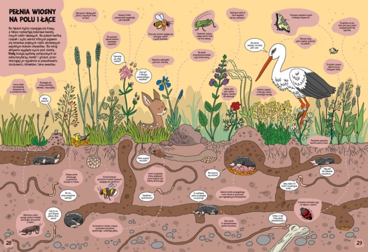 e5d0d1e1ecd1d6e9d5e71696be510291