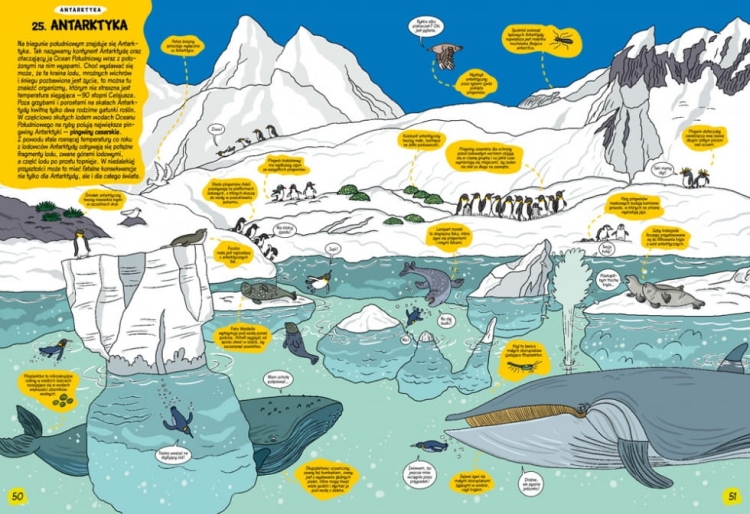 cbe28e0af28f039d97416b99134b24e5