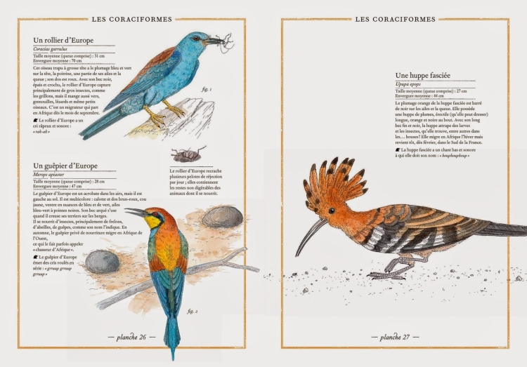 inwentarz ptaków