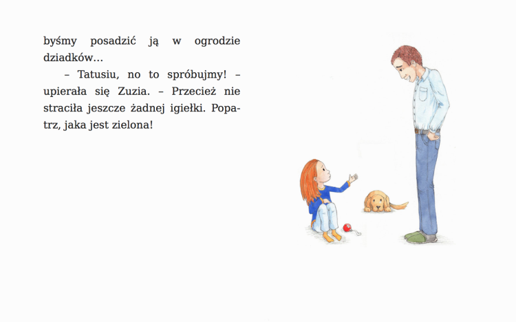Co robią choinki po świętach?
