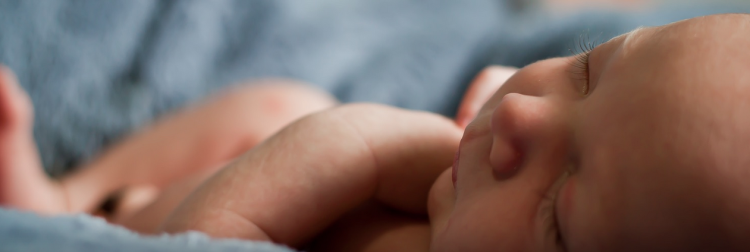 e5a533e61b71a0e9c5eaedfe905ffac6