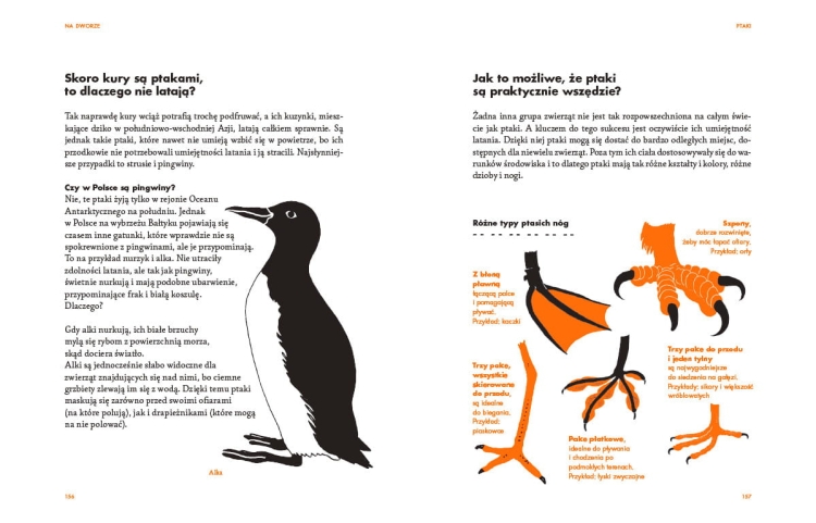 Na dworze. Przewodnik dla odkrywców przyrody_001.jpg