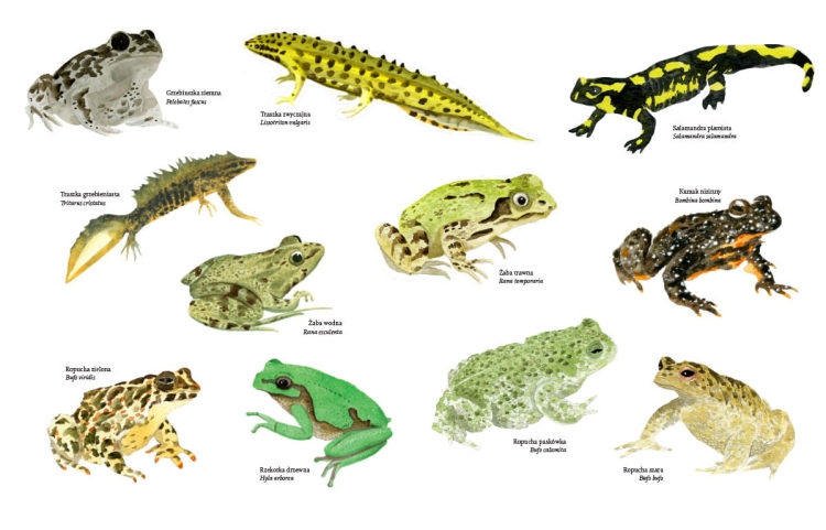 Na dworze. Przewodnik dla odkrywców przyrody_002.jpg