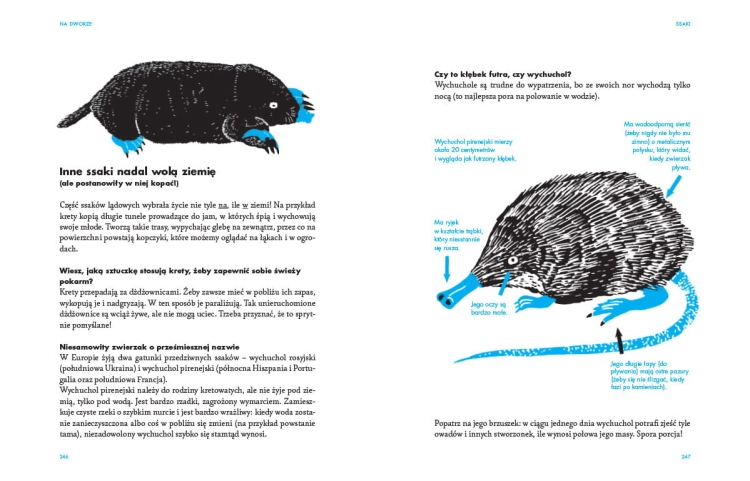 Na dworze. Przewodnik dla odkrywców przyrody_003.jpg