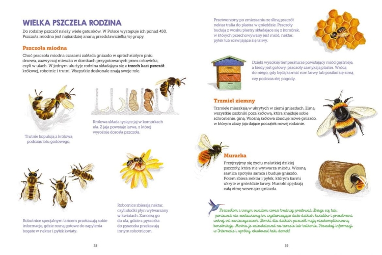 OWADY AKADEMIA MĄDREGO DZIECKA MÓJ ZESZYT OBSERWACJI PRZYRODNICZYCH_OWADY_003.jpg