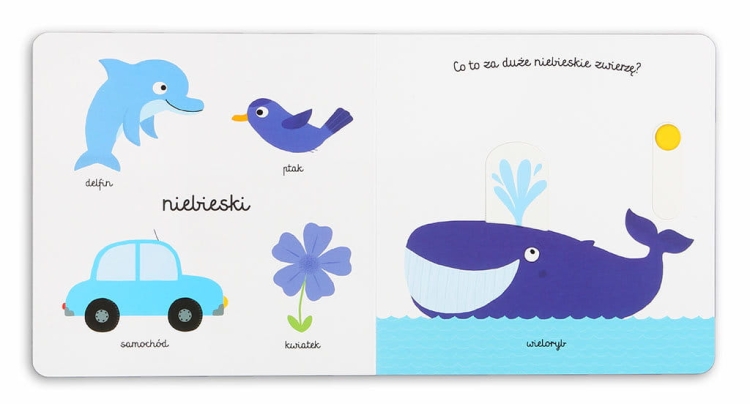 Kolory. Akademia mądrego dziecka