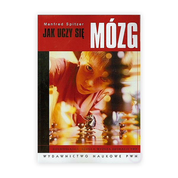 jak uczy się mózg.png