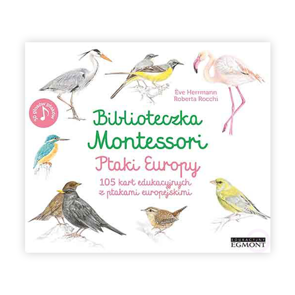 montessori ptaki europy.png