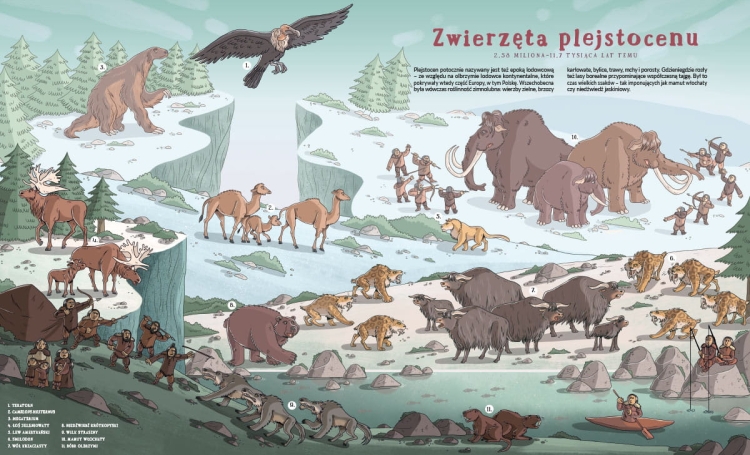 zwierzeta_ktore_zginely_4.jpg