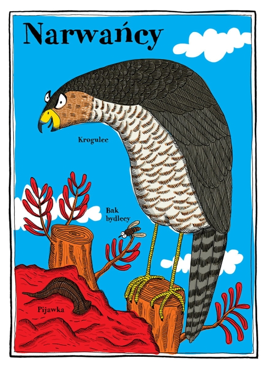 Narwańcy, uwodziciele, samotnicy