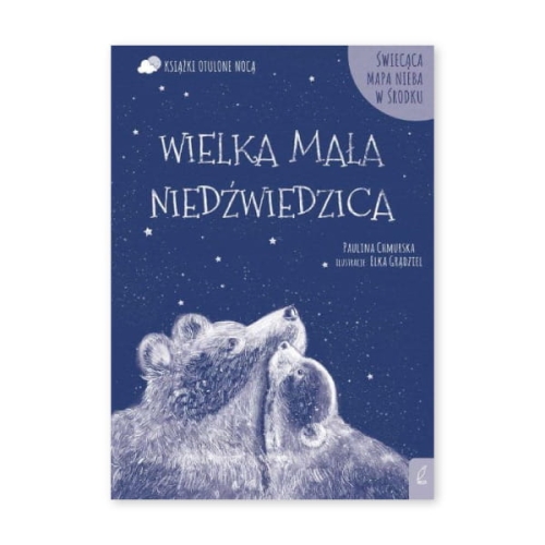 wielka-mała-niedźwiedzica.jpg