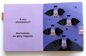 pobrane (1).jpg