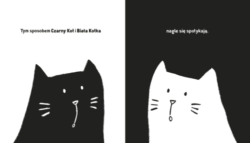 czarny_kot_3.jpg