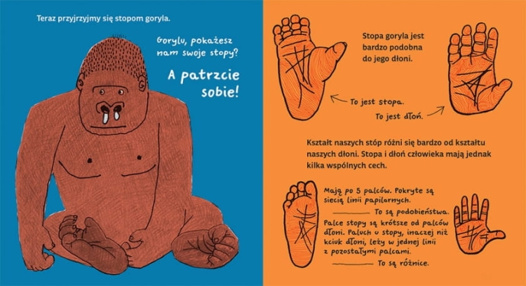 Moje ciało. Stopy