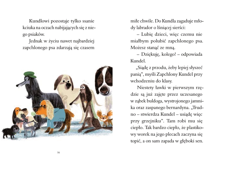 Zapchlony kundel w szkole