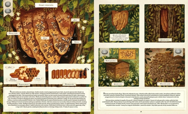 Co budują zwierzęta?