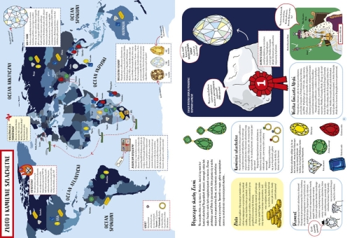 Niezwykłe mapy. Dla miłośników przygód i snów na jawie