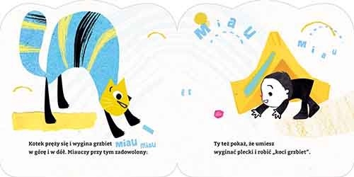 Chowaj się jak wiewiórka. Czapu Czipu