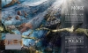 Od początku, czyli powstanie i rozwój życia na Ziemi