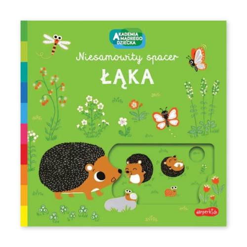 Łąka.-Akademia-mądrego-dziecka.-Niesamowity-spacer.jpg