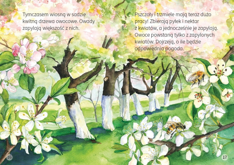 Drzewa. Młodzi przyrodnicy