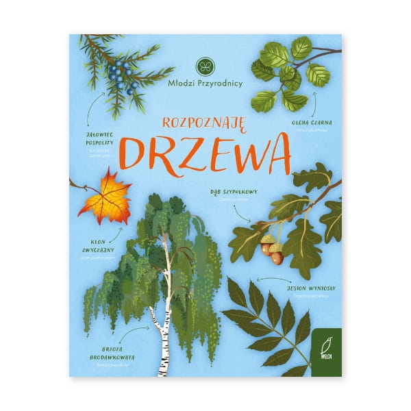 Rozpoznaję-drzewa.-Młodzi-przyrodnicy.jpg