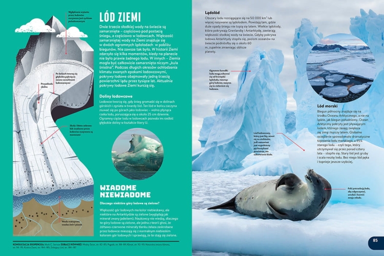 Britannica. Nowa encyklopedia dla dzieci