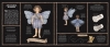 16426864303150100-jpg-gallery.big-iext104120803.jpg