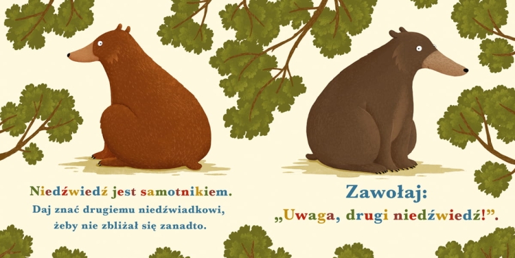 Rok w lesie. Niedźwiedź3.jpg