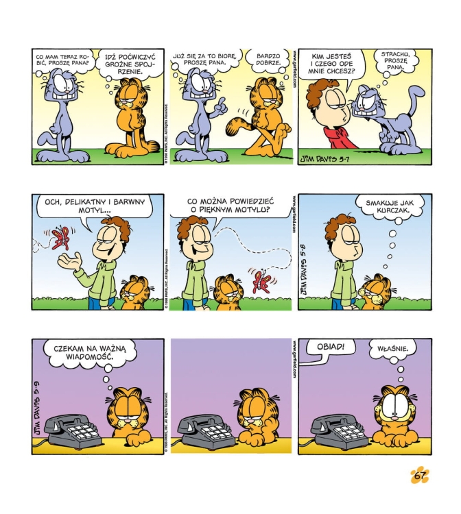 garfield 12.jpg