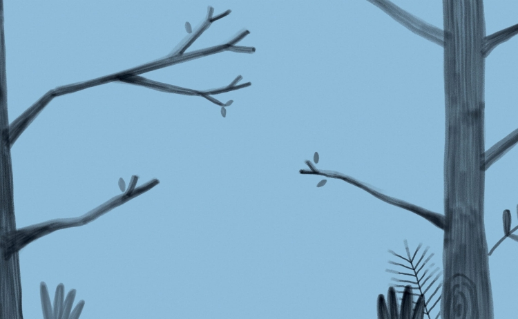 umiem rysować zwierzęta3.jpeg