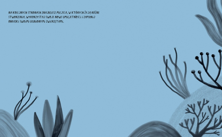 umiem rysować zwierzęta4.jpeg