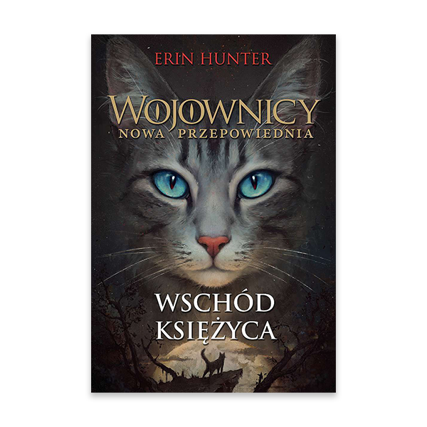 wschód księżycza.png
