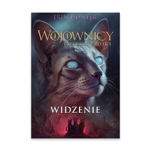 widzenie.png