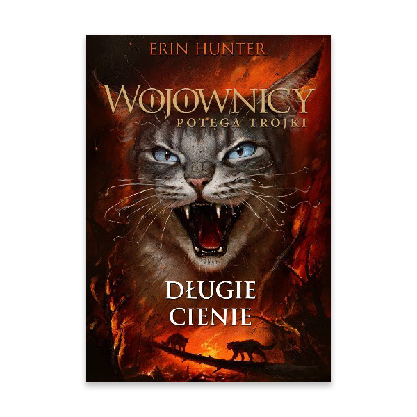 długie cienie.png