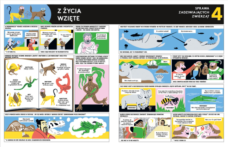 Przyroda jest wszędzie! Śledztwo w sprawie organizmów wokół ciebie (i w tobie)2.png