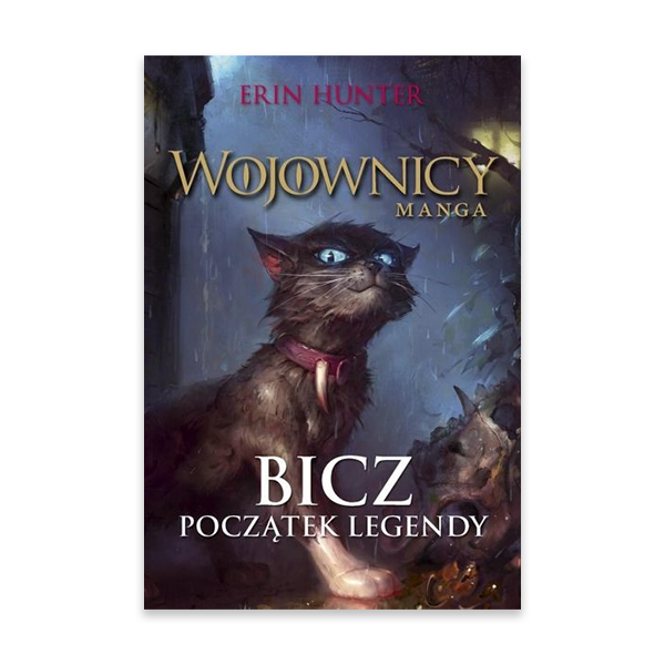 BiczPoczątekLegendy.png