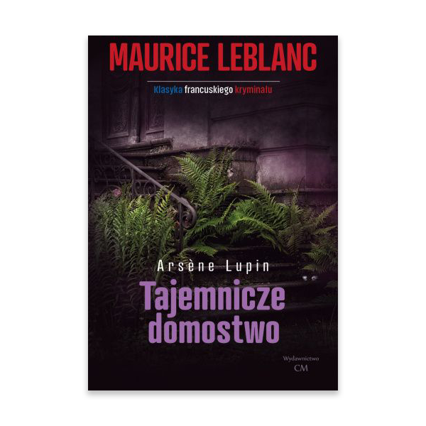 Tajemnicze domostwo.jpg.png